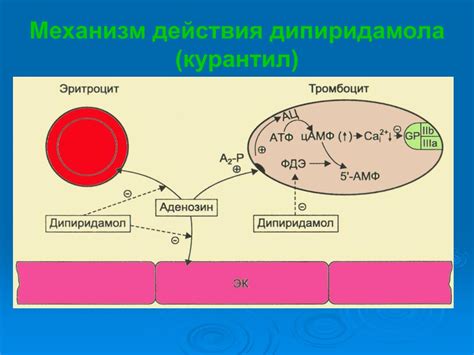 Антиагрегантное действие