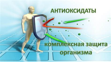 Антиоксидантные свойства: защита от свободных радикалов