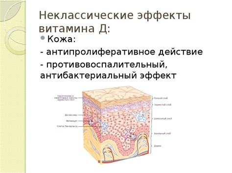 Антипролиферативное действие препарата: принцип работы и особенности