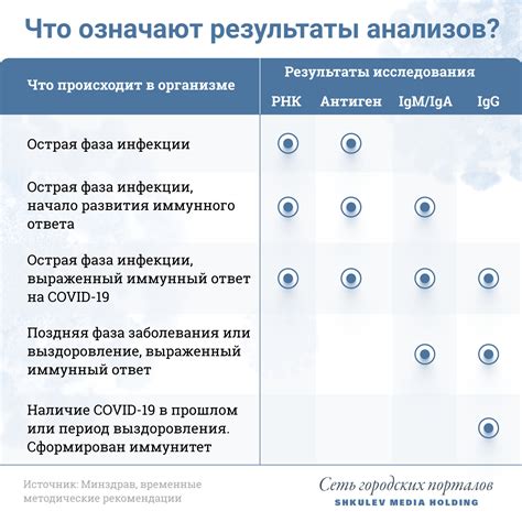 Антитела: ключевой элемент иммунитета