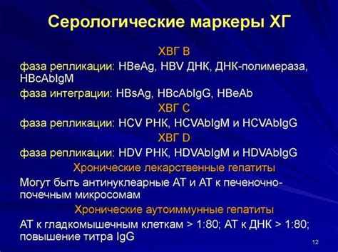 Анти ВГС положительный: основные преимущества и возможности