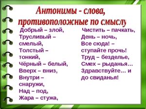 Антонимическая пара: понятие и значение