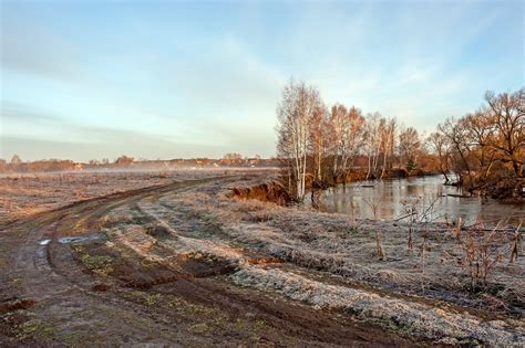 Апрельские заморозки и майские заботы: когда высаживать лук и морковь?