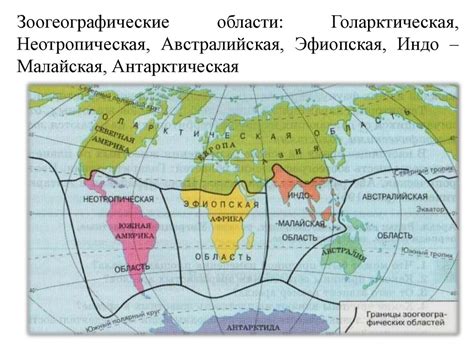 Ареал обитания