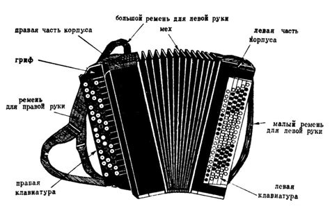 Архитектура и устройство цельнопланочного баяна