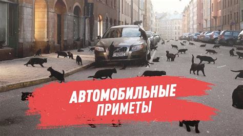 Аспекты жизни, которые могут символизировать маленькое интимное существо в снах