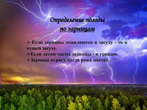 Аспекты жизни, которые можно предсказать через сон о влажной прекрасной пушистой погоде и гигантском ползучем существе