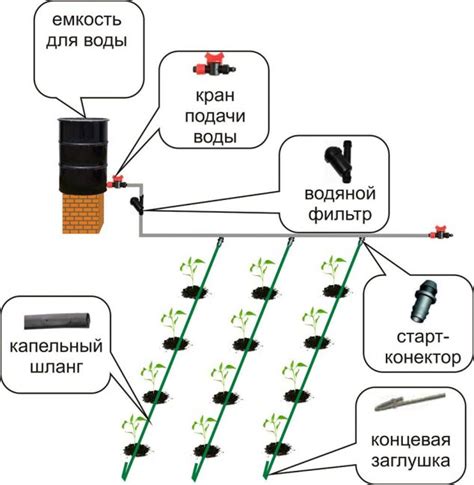 Ассоциации с основными оттенками при расшифровке орошения растений во сне