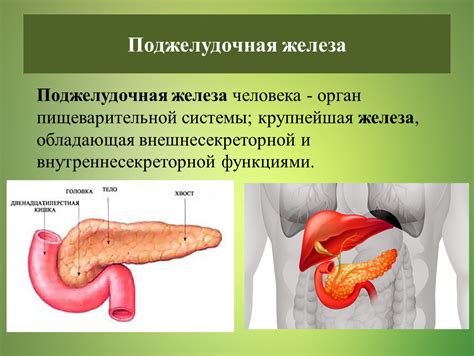 Асцит и его связь со заболеванием поджелудочной железы