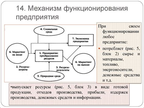 Атрибутивные отношения: суть и механизм функционирования