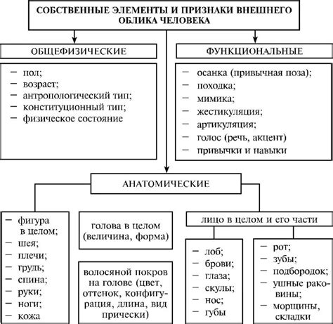 Атрибуты внешнего бального облика