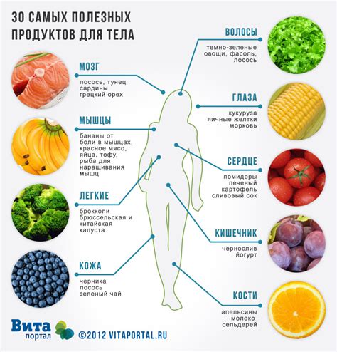 Атрофия тела: влияние на здоровье