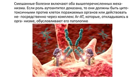 Аутоиммунные реакции и развитие воспаления