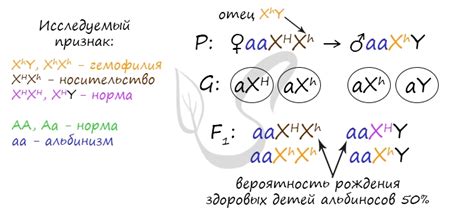 Аутосомный признак задачи: определение и примеры