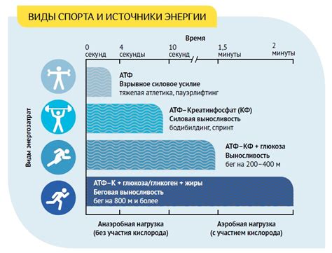 Аэробная нагрузка и метаболизм