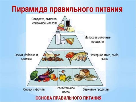 Базовые принципы питания для месячных мужчин