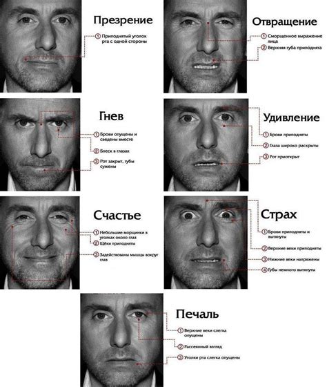 Базовые сигналы лица: основы мимики и эмоций