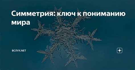 Байден как ключ к пониманию мира снов: разгадывая символику его появлений