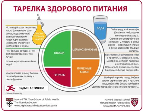 Баланс питания и здоровье работника