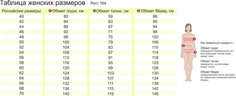 Бедра полуобхват: какой должен быть нормальный показатель