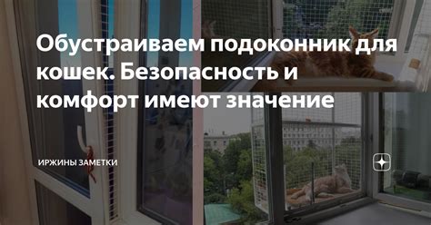 Безопасность и комфорт: Значение медленного моргания в повседневной жизни кошек