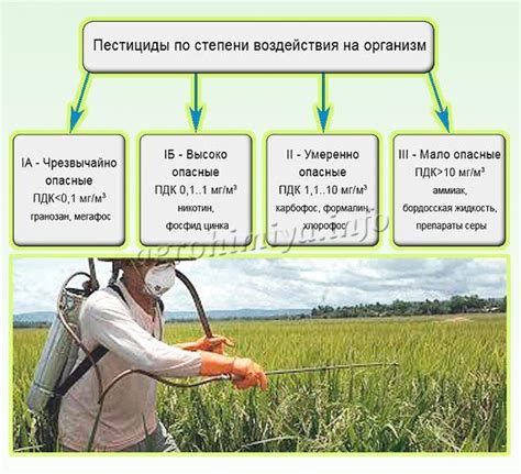 Безразмерное использование пестицидов