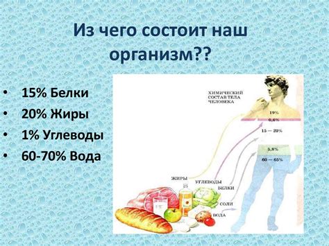 Без чего обходится наш организм, не получая полноценного сна?