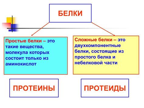 Белки: от структуры до функций