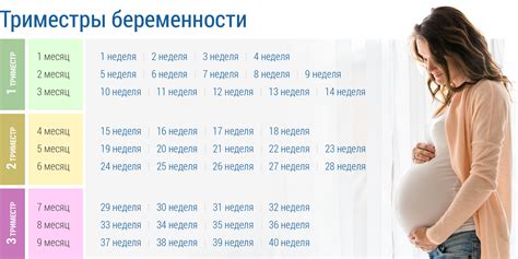 Беременность во снах: возможные смыслы и их влияние на подсознание