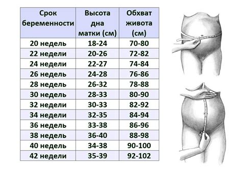 Беременность в сновидениях: расшифровка символического значения образа живота во время сна