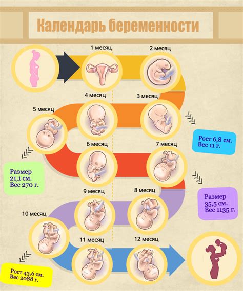 Беременность как знамение радости и плодородия