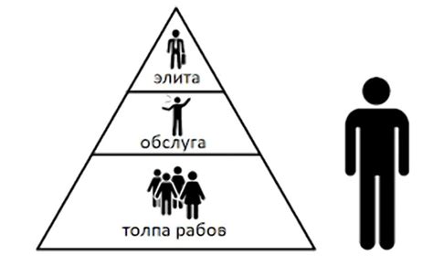 Бета особь и социальная иерархия