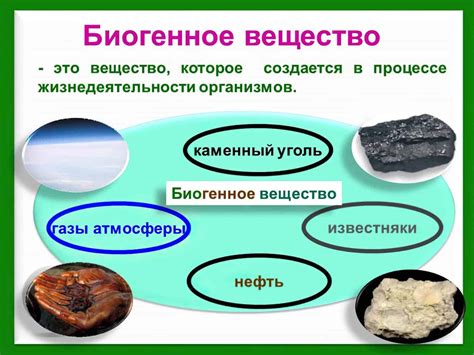 Биогенные вещества: влияние на организм и методы использования