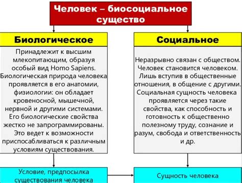 Биологическая природа движения глаз в ходе разговора