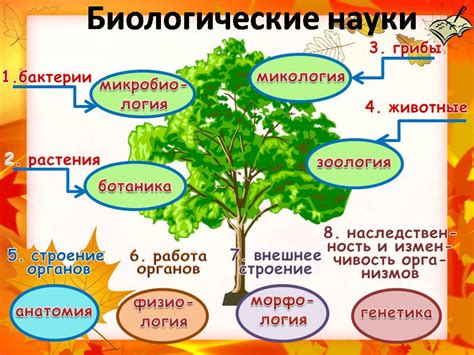 Биологическая роль холинолитической активности в природе