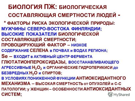 Биологическая составляющая людей