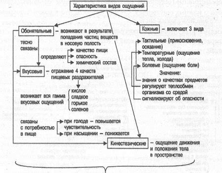 Биологические основы ощущения остроты