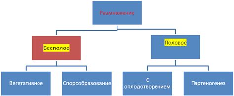 Биологический аспект придворной ярости