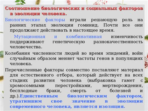 Биологическим образом: преимущества с «рассветом»