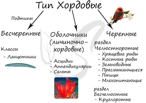 Биологическое объяснение позы со рукой над головой