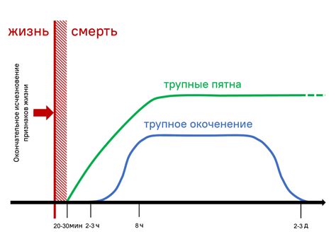 Биологическое определение смерти