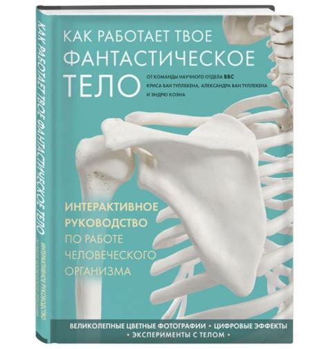 Биомеханика флексоров: как работает твое тело