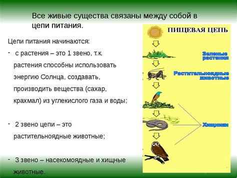 Биоразнообразие и его значение для экосистемы