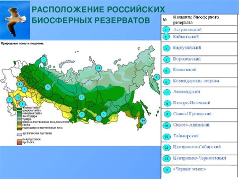 Биосферные резерваты