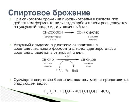 Биохимические процессы при наличии алкогольдегидрогеназы