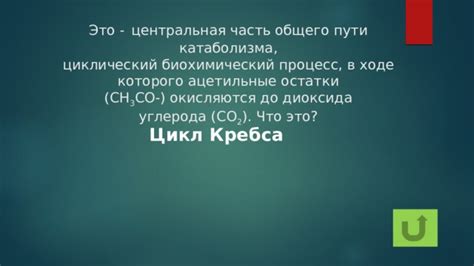 Биохимический процесс пахнуть солнцем