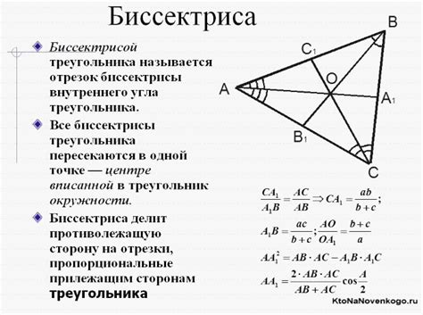 Биссектриса треугольника: что это такое?