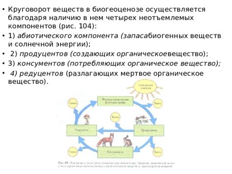 Богатый источник неотъемлемых компонентов
