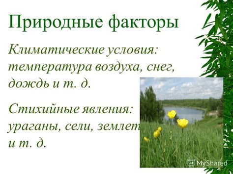 Бойкое место: природные условия и социальные факторы