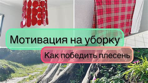 Борьба с неблагоприятной влажностью